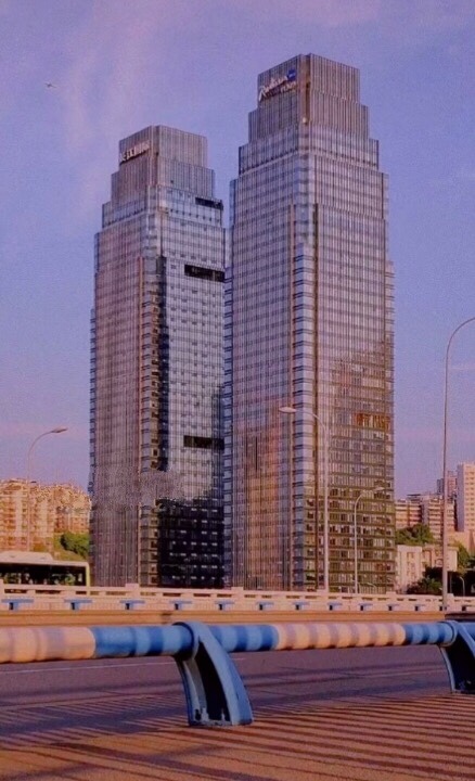 第十九章 蔚派國(guó)際 全球化浪潮下的戰(zhàn)略抉擇